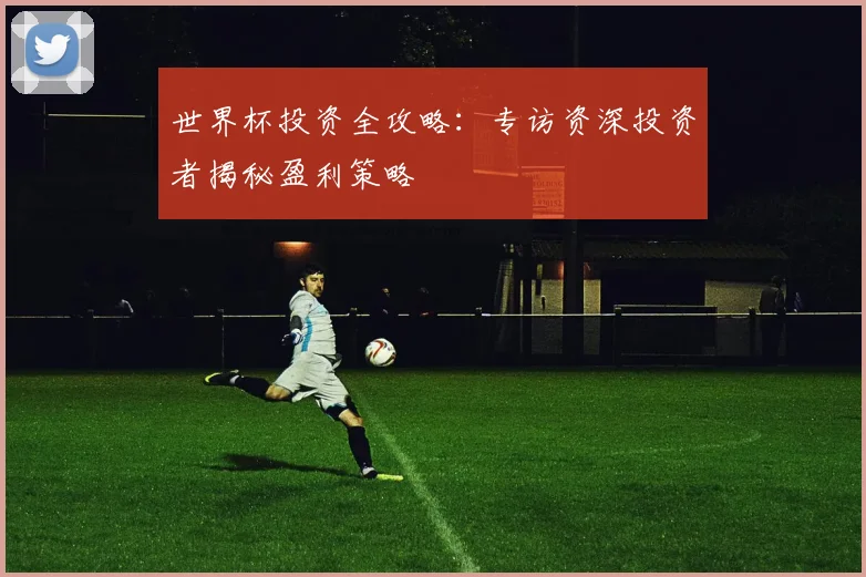 世界杯投资全攻略：专访资深投资者揭秘盈利策略