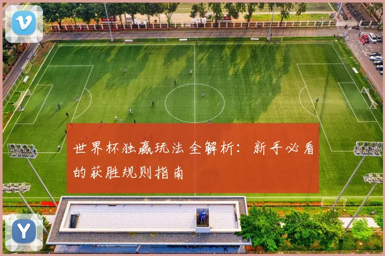 世界杯独赢玩法全解析：新手必看的获胜规则指南