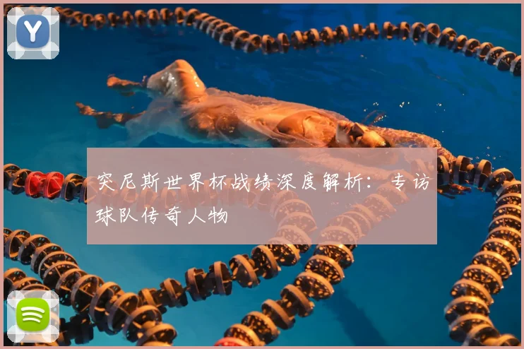 突尼斯世界杯战绩深度解析:专访球队传奇人物