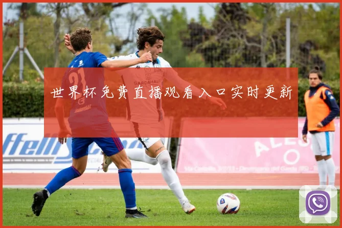 世界杯免费直播观看入口实时更新
