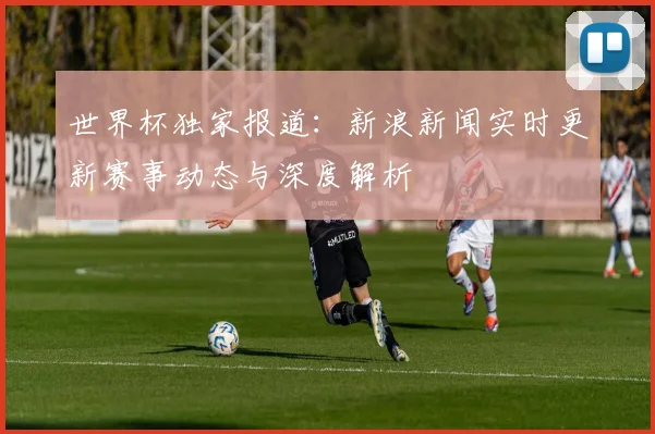 世界杯独家报道：新浪新闻实时更新赛事动态与深度解析