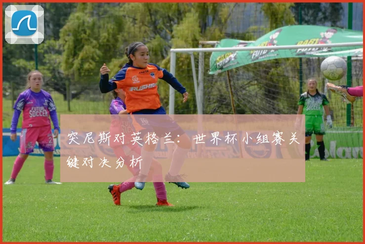 突尼斯对英格兰：世界杯小组赛关键对决分析