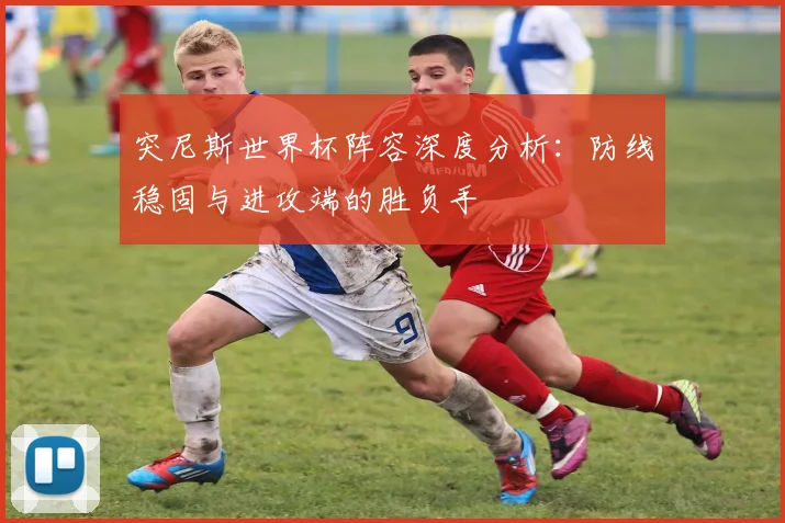 突尼斯世界杯阵容深度分析：防线稳固与进攻端的胜负手