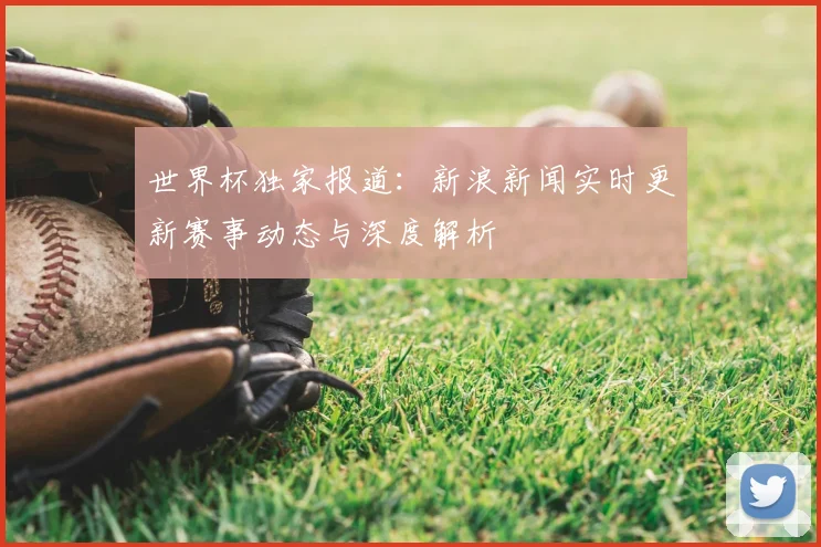 世界杯独家报道：新浪新闻实时更新赛事动态与深度解析
