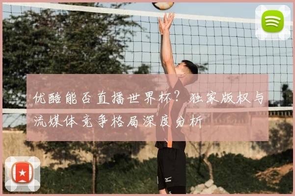 优酷能否直播世界杯？独家版权与流媒体竞争格局深度分析