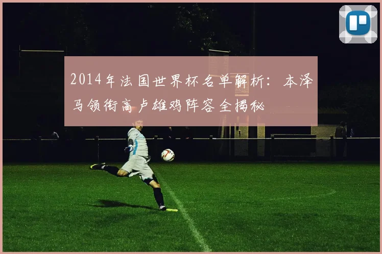 2014年法国世界杯名单解析：本泽马领衔高卢雄鸡阵容全揭秘