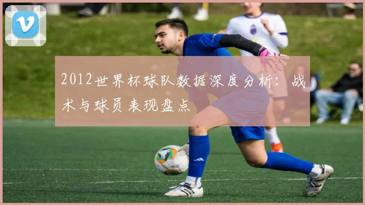 2012世界杯球队数据深度分析：战术与球员表现盘点