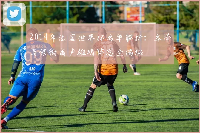 2014年法国世界杯名单解析：本泽马领衔高卢雄鸡阵容全揭秘